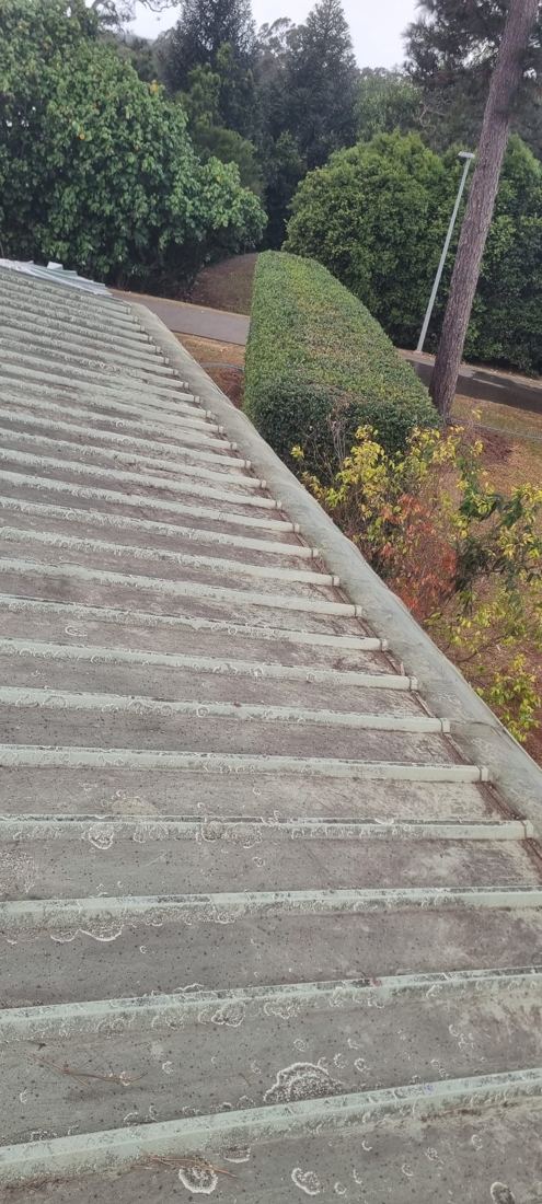 Gutter Cleaning Sydney