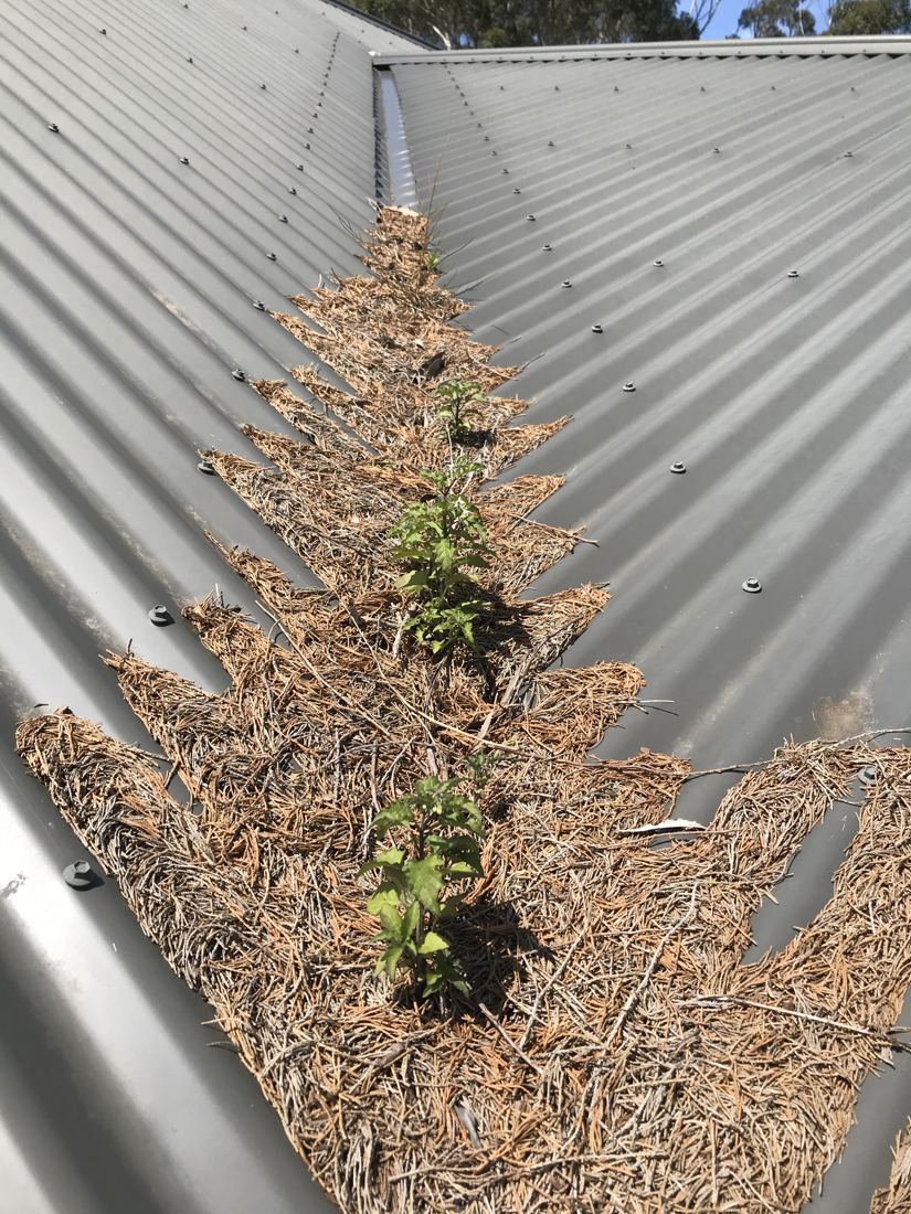 Roof valley gutter before cleaning